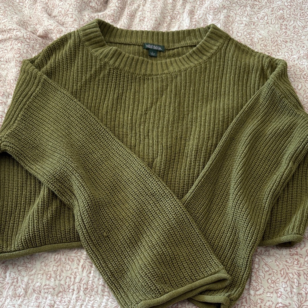 Wild Fable Green Sweater